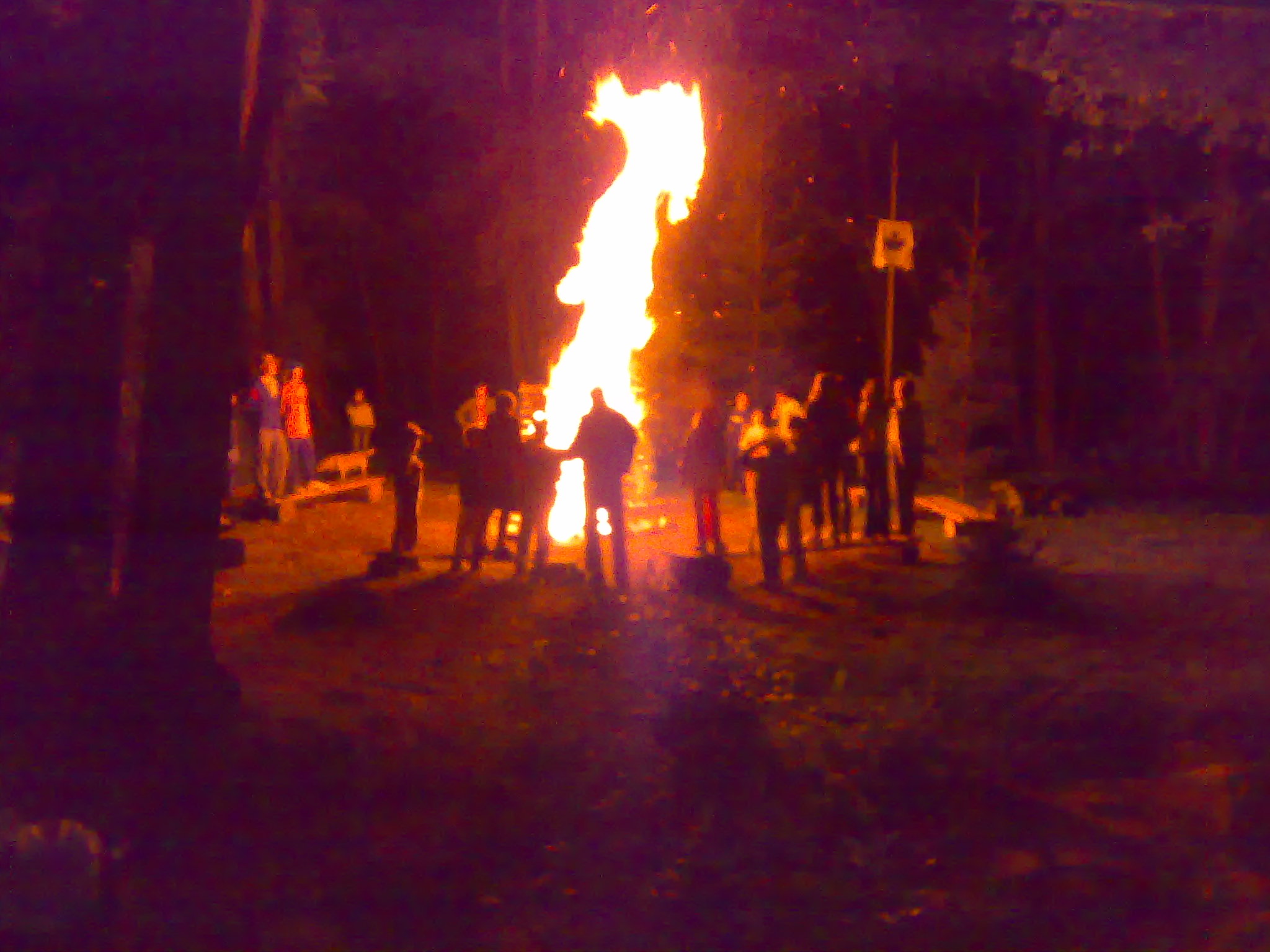 27072007170.jpg